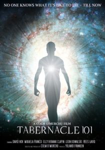 Скиния 101 2019 скачать торрент