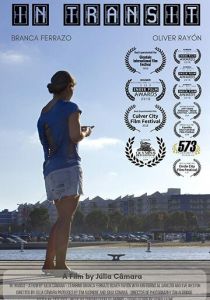 In Transit 2018 скачать торрент