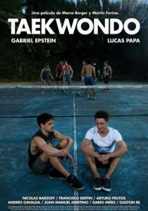 Тхэквондо 2016 скачать торрент