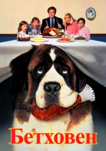 Бетховен 1991 скачать торрент