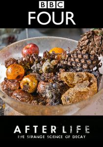 После смерти: Загадочная наука разложения 2011 скачать торрент