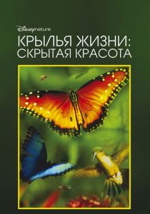 Крылья жизни: Скрытая красота 2011 скачать торрент