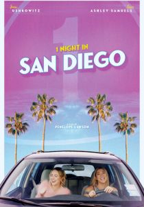 Одна ночь в Сан-Диего 2020 скачать торрент