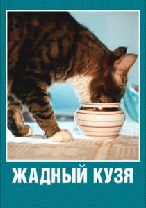 Жадный Кузя 1969 скачать торрент