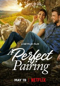 Идеальное сочетание 2022 скачать торрентом