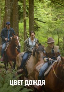 Цвет дождя 2014 скачать торрент