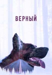 Верный 2016 скачать торрент