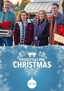 Пуансеттии на Рождество 2018 скачать торрентом