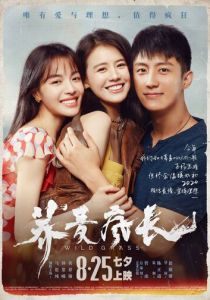 Дикие травы 2020 скачать торрентом