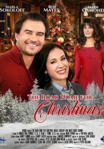 Дорога домой на Рождество 2019 скачать торрент