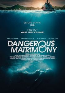 Опасный брак 2018 скачать торрентом