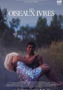 Les oiseaux ivres 2021 скачать торрентом