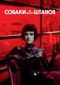 Собаки не носят штанов 2019 скачать торрент