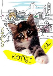 Котенок 1996 скачать торрент