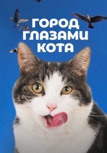 Город глазами кота 2018 скачать торрент