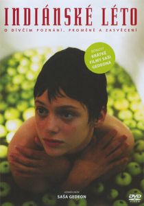 Индейское лето 1995 скачать торрент