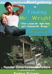 В поисках мистера Райта 2011 скачать торрент