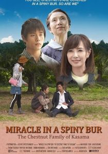 Чудо в Касаме 2018 скачать торрент