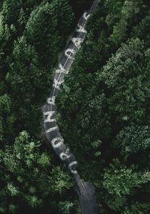 Обычные дни 2017 скачать торрентом