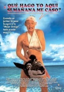 Особенности холостяцкой вечеринки 1994 скачать торрент