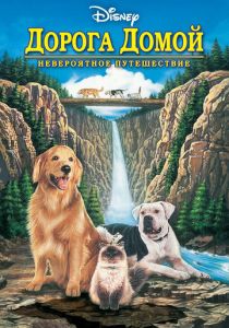 Дорога домой: Невероятное путешествие 1993 скачать торрентом