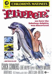 Флиппер 1963 скачать торрент