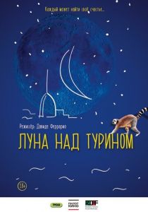 Луна над Турином 2013 скачать торрентом