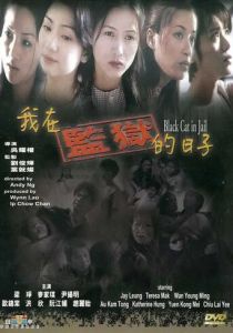 Чёрная кошка 3: В тюрьме 2000 скачать торрент