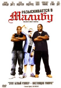 Разыскиваются в Малибу 2003 скачать торрент