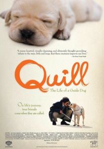 Куилл 2004 скачать торрент