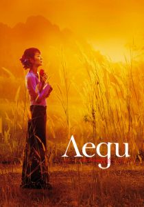 Леди 2011 скачать торрент