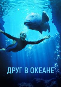 Друг в океане 2022 скачать торрент