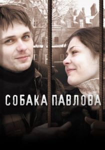 Собака Павлова 2005 скачать торрент