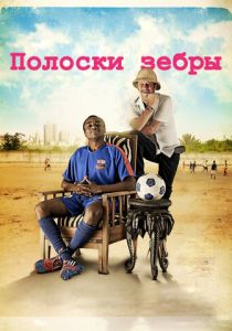 Полоски зебры 2013 скачать торрент