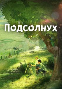 Подсолнух 2017 скачать торрент