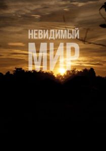 Невидимый мир 2012 скачать торрент