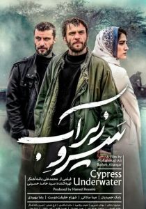 Кипарис под водой 2018 скачать торрентом