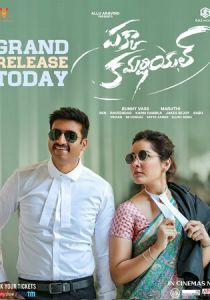 Pakka Commercial 2022 скачать торрентом