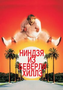 Ниндзя из Беверли-Хиллз 1997 скачать торрент