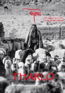 Тарло 2015 скачать торрентом