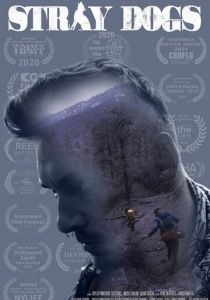 Stray Dogs 2020 скачать торрентом