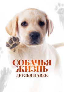 Собачья жизнь: Друзья навек 2023 скачать торрент