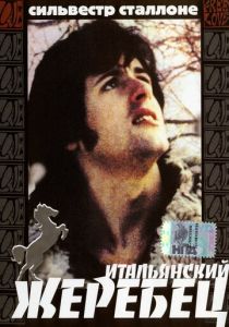 Итальянский жеребец 1970 скачать торрент