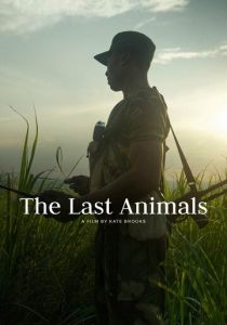 Последние животные 2017 скачать торрент