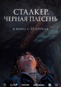 Сталкер. Черная плесень 2023 скачать торрент