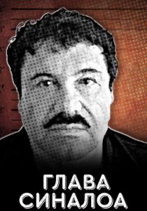 Глава Синалоа 2021 скачать торрент