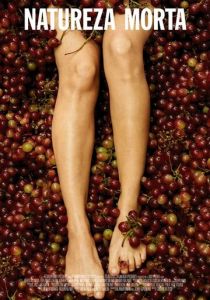 Natureza Morta 2020 скачать торрентом