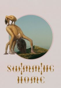 Заплыв домой 2024 скачать торрентом