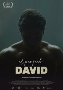 El perfecto David 2021 скачать торрентом