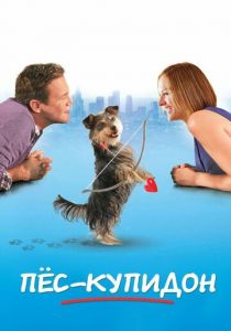 Пес-купидон 2012 скачать торрент